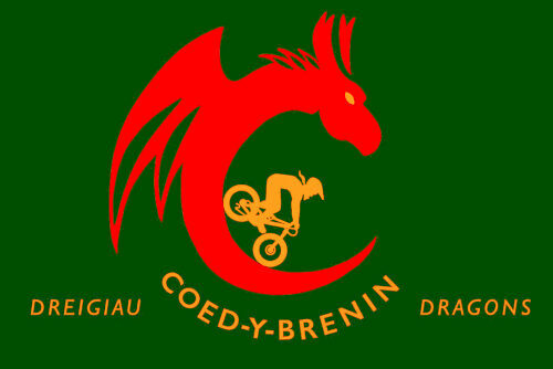 Dreigiau Coed y Brenin Dragons